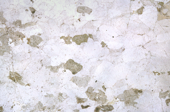 Gabbro rubané x3,5